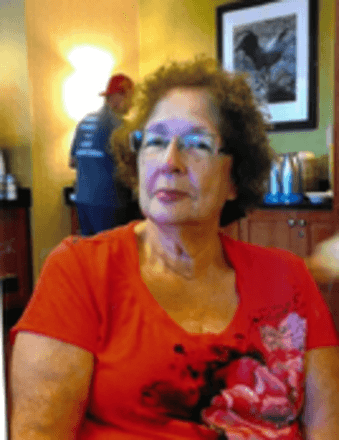 Janet N. Higgins Obituary