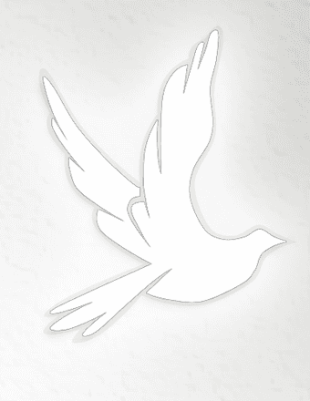 Richard Charles Hasko Obituary